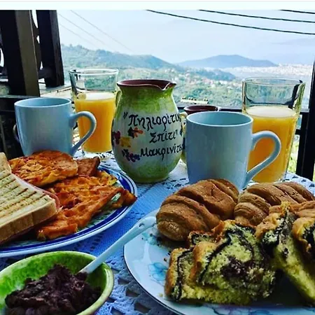 Pilioritiko Spiti Guest house Makrinitsa