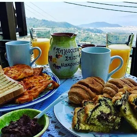 Pilioritiko Spiti 3* Makrinitsa